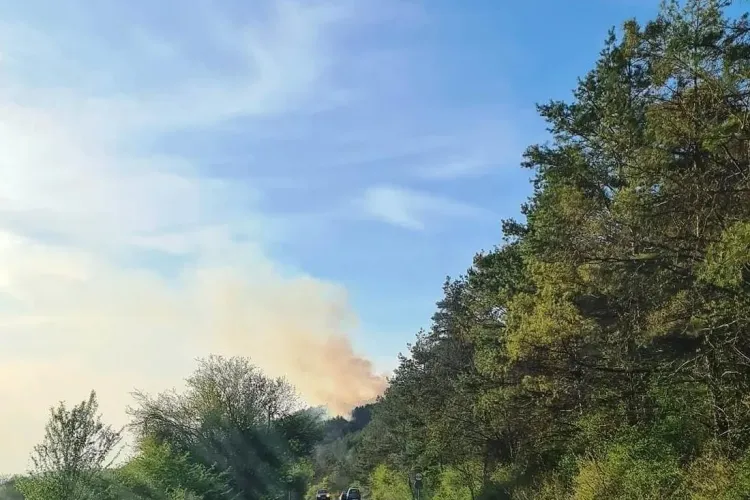 Incendiu în pădurea de lângă drumul Sfântul Ioan! Pompierii au luptat mai multe ore cu flăcările/Locul - supravegheat și pe timp de noapte