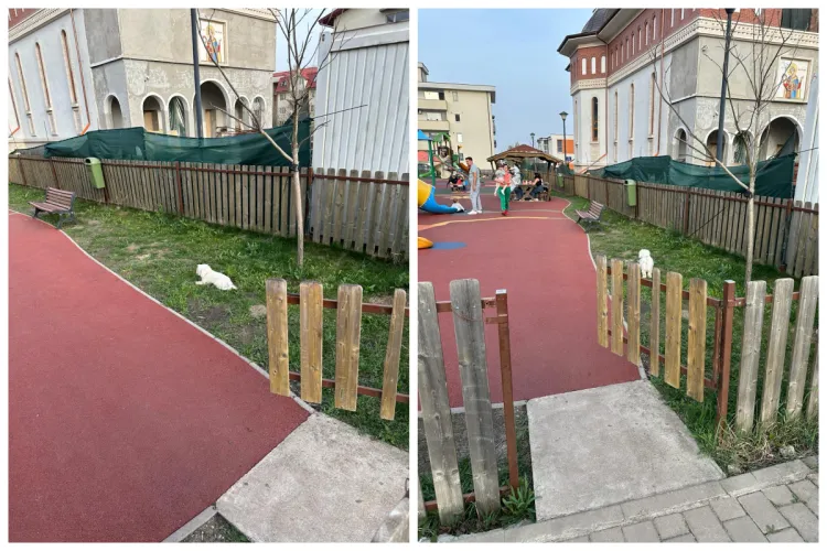 Părinții fetei de opt ani, mușcată de un câine agresiv într-un parc din Cluj-Napoca, au depus plângere la Poliție