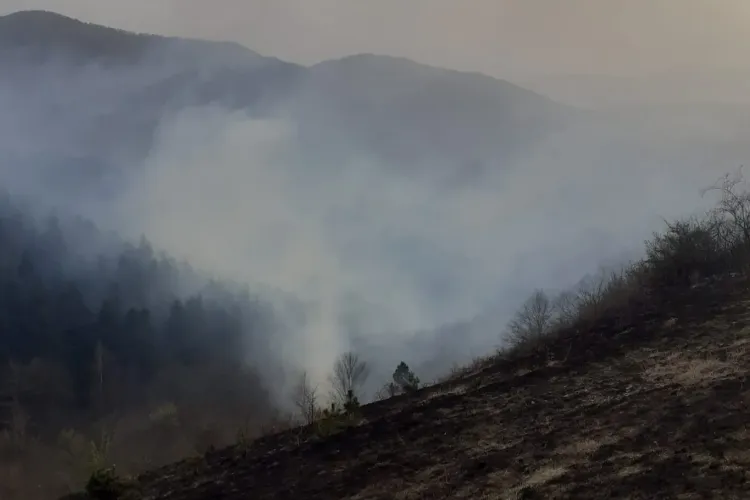 Flăcările au cuprins mai bine de 30 de hectare de vegetație uscată într-o comună clujeană! Pompierii se luptă cu focul de patru ore - FOTO