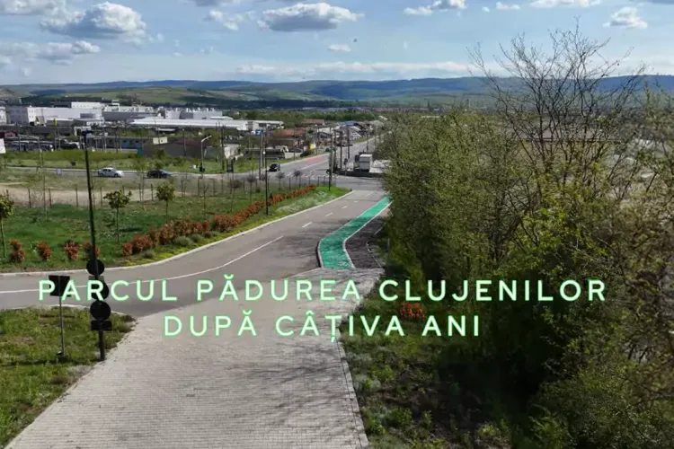 La câțiva ani de la inaugurare, Pădurea Clujenilor, un parc cu o investiție de peste 4.5 milioane de euro, este gol- VIDEO
