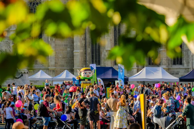 Cluj - Artiștii își pot înscrie producțiile pentru Festivalul Stradal WonderPuck 2024