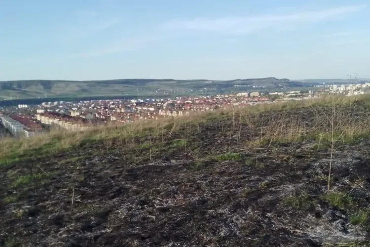 Incendiu în apropiere de strada Cetății din Florești! AMENDA uriașă pe care o riscă cei care dau foc la resturile de vegetație