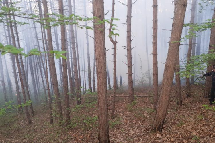 S-au reaprins mai multe focare în pădurea de lângă drumul Sfântul Ioan! Clujenii din cartierul Bună Ziua se sufocă sub pâcla de fum - FOTO