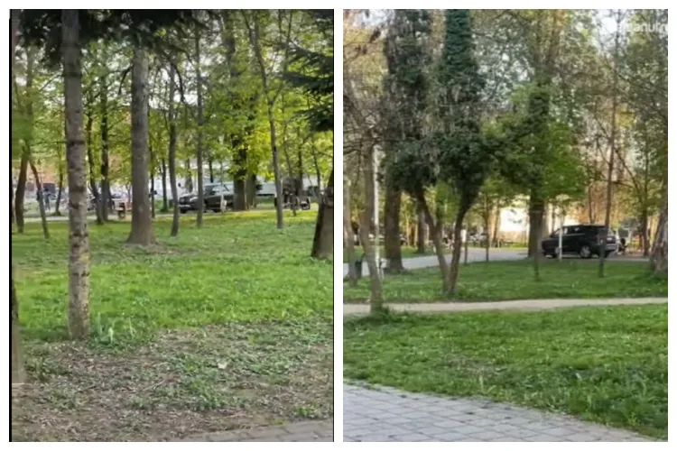 O plimbare prin parc așa cum nu ai mai văzut. Un șofer ”s-a rătăcit” cu mașina pe aleile unui parc clujean – VIDEO