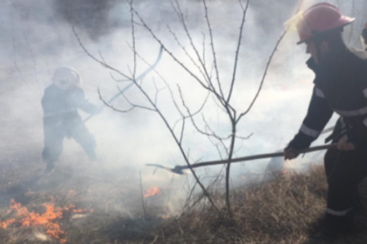Cluj: Incendiu de vegetație în apropierea localității Mărișel! Pompierii au intervenit 
