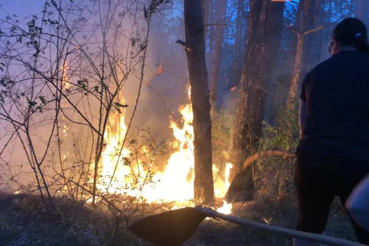 Activiștii civici clujeni cer crearea Inelului Verde Metropolitan și ca măsură de prevenire a incendiilor: „M-am înecat în fum la alergare”