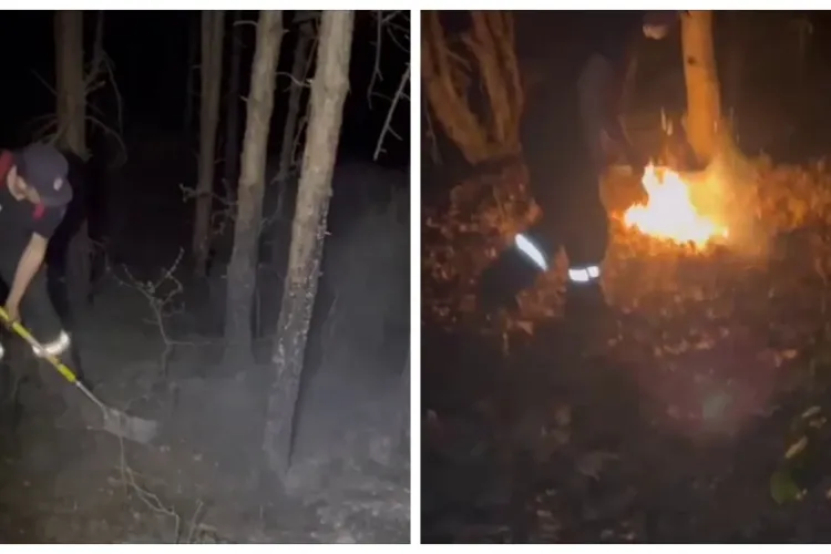 Incendiul de pădure de la Sfântul Ioan se tot aprinde. Pompierii luptă de 24 de ore - VIDEO