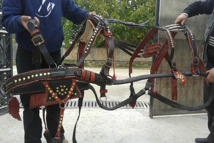 Cluj - Percheziții după ce hoții au furat 6 hamuri de cai de la un om înstărit din comuna Ciucea