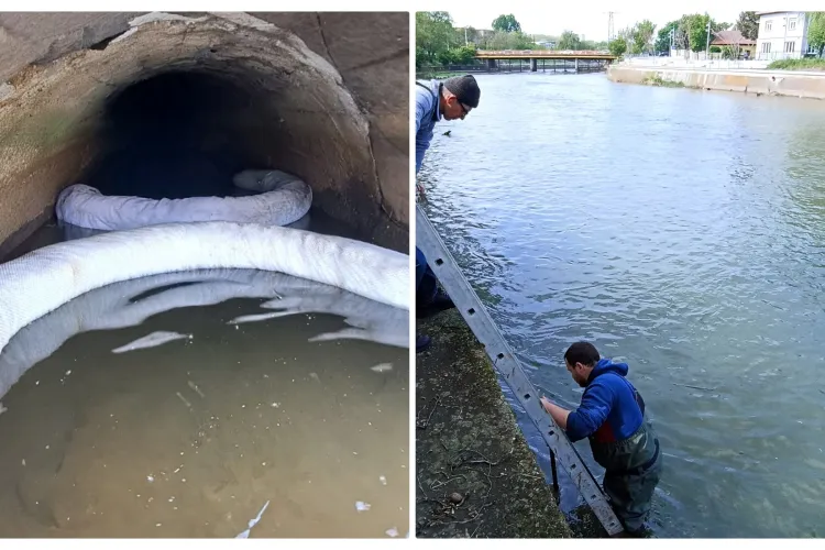 Poluare pe Someș, lângă Podul Garibaldi. S-a intervenit cu un baraj absorbant - FOTO