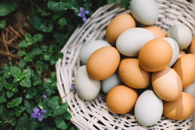 Care sunt ouăle ideale pentru consum: ”Ou BIO sau ou cu Omega 3? Care merită cheltuiala?”