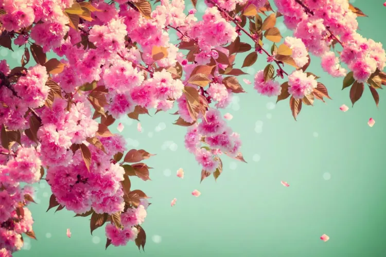 Cum va fi vremea de 1 Mai şi de Paşte. Veștile nu sunt atât de bune pe cât am vrea