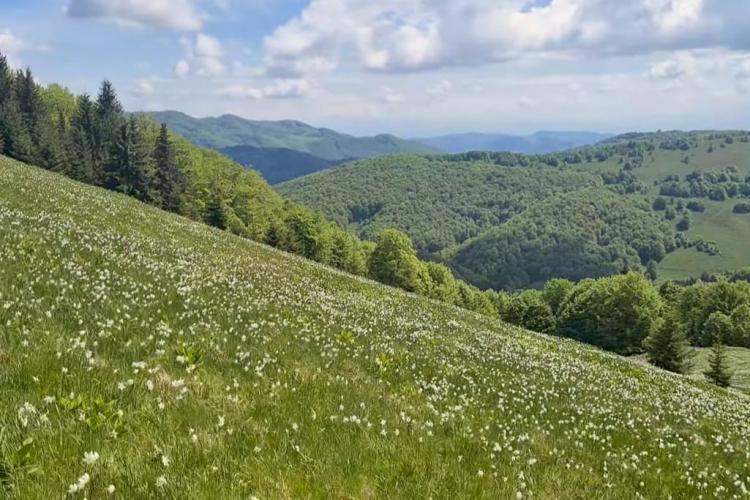 Locul unic din Munții Apuseni vizitat de mii de turiști în luna mai. Ca orice atracţie turistică, are şi o legendă proprie