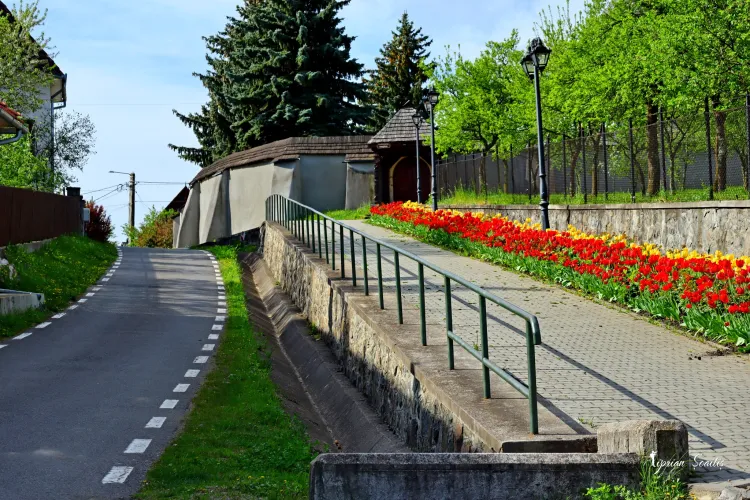 Sâncraiu, satul minune al turismului din Cluj, a înflorit din nou! Totul e aranjat ca în Elveția - VIDEO