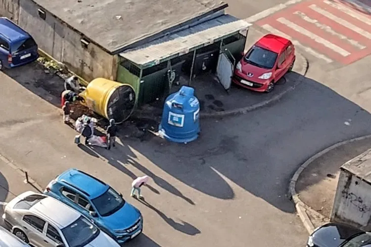 ,,Iată de ce este mizerie în zona de colectare a gunoiului”- Mai mulți indivizi, surprinși în timp ce răsturnau tomberoane pe o stradă din Mănăștur 