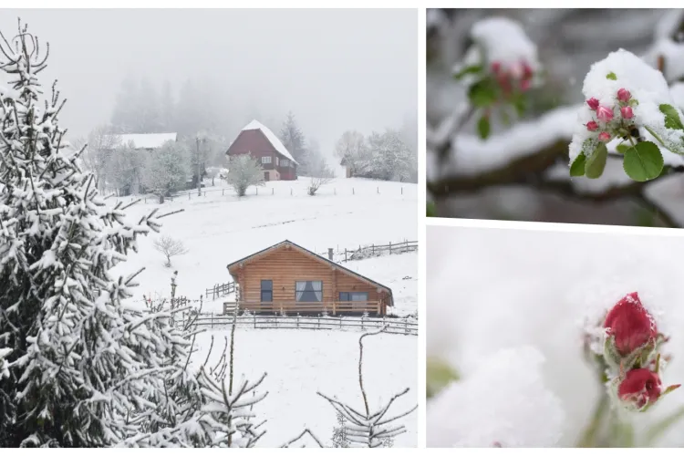 Ninsoare surpriză la Arieșeni: ”După peisajul de afara te-ai aștepta să vină Crăciunul nu Paștele” - FOTO