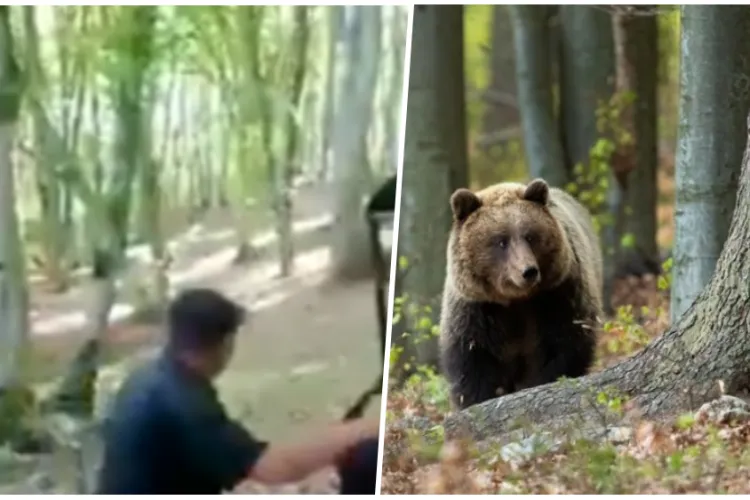 Clipe de groază pentru peste 70 de persoane aflate la o înmormântare! Cortegiul funerar a fost fugărit de un urs