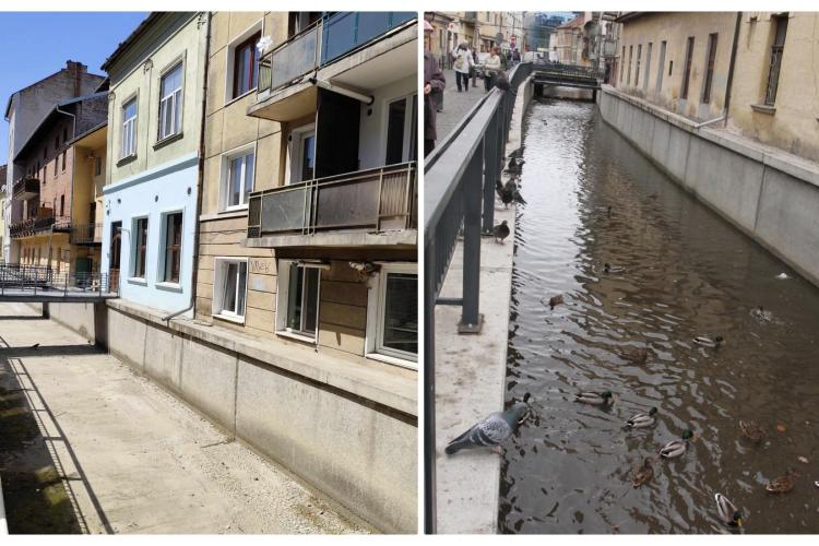 A secat Canalul Morii, în centrul Clujului? Ce explicații sunt pentru acest fenomen - VIDEO