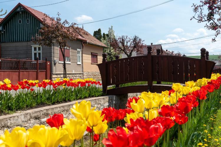 Sâncraiu, cel mai pitoresc sat al Clujului, a ajuns în finala competiției turistice Destinația Anului! Cum puteți vota 