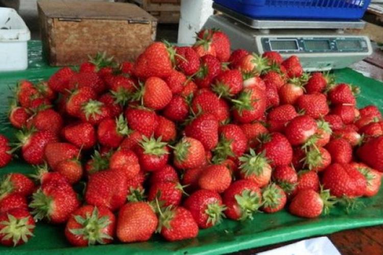 Primele căpșuni românești au ajuns în piețe! Un kilogram de fructe costă mai mult decât unul de carne