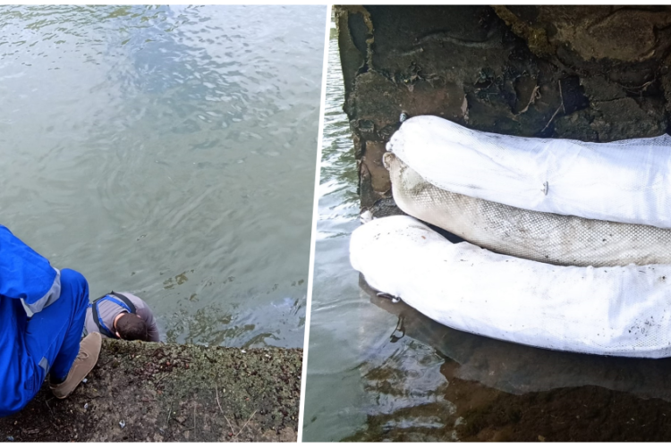 Sursa poluării de pe Someș, din zona Podului Garibaldi, a fost descoperită. Cum au ajuns substanțele toxice în apă 