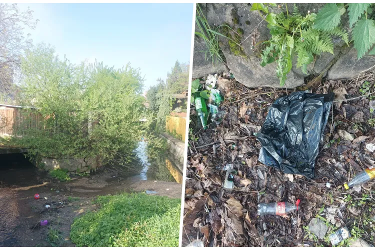 Imagini dezolante cu Canalul Morii din Cluj-Napoca! E plin de gunoaie de toate felurile: ,,Arată ca ceva film prost cu zombie” - FOTO 