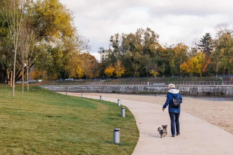 Clujenii cer Poliției Locale să patruleze constant malurile Someșului: „Să sancționeze persoanele care nu țin câinii în lesă”