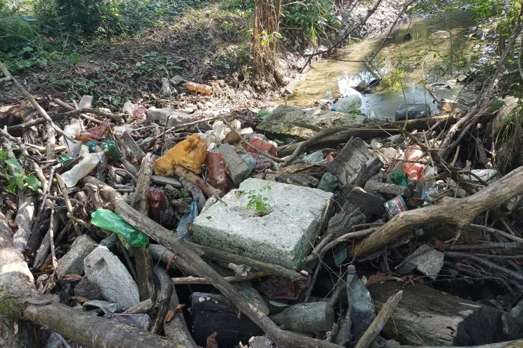 E dezastru la Becaș, afluent al Someșului! Clujean: „La ce culoare are apa cel mai probabil cineva îl folosește drept fosă septică”