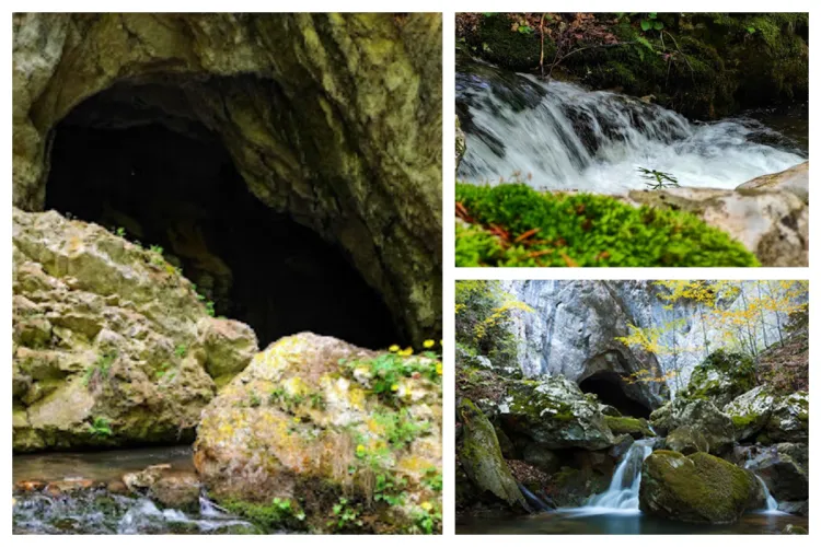 Peştera interzisă din Ardeal cu un zăcământ uriaş de guano. Este locul uneia dintre marile descoperiri din trecutul României 