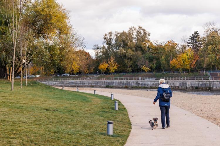 Tensiuni între clujeni și proprietarii de câini care refuză să-și plimbe animalele în lesă: ,,Vorbiți la infecțioase și urgențe câți copii ajung mușcați