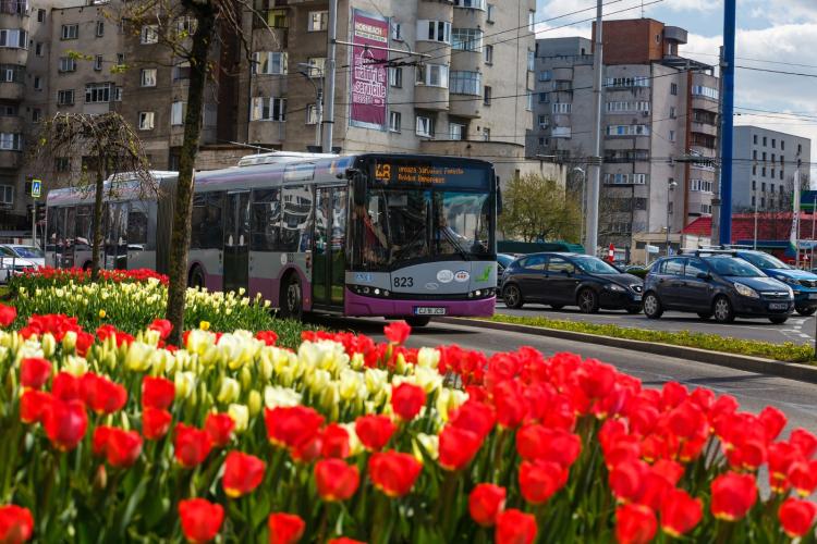 Liniile de transport din Cluj care vor circula pe trasee deviate în Duminica Paștelui 