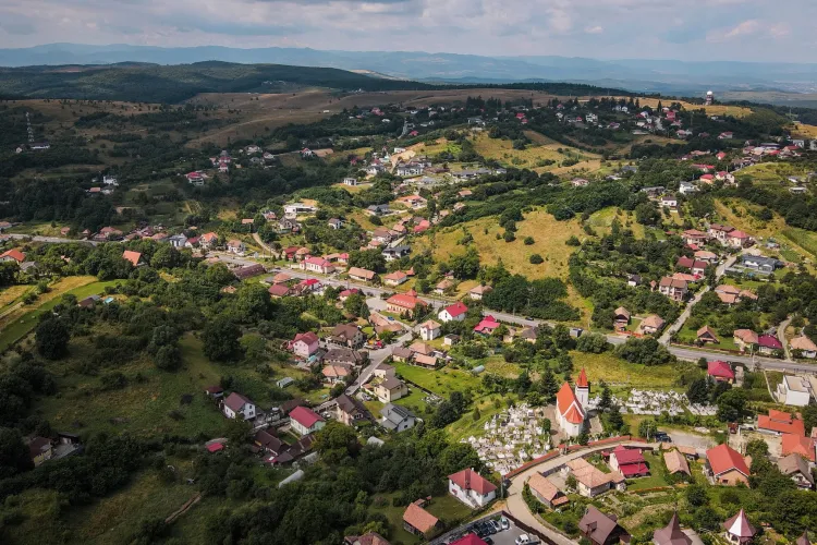 Scandal total în Feleacu din cauza unor câini! Un clujean s-a ales cu dosar penal după ce a agresat un minor și părinții acestuia