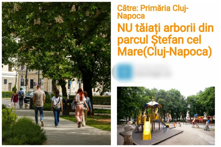 Castanii înfloriți din Parcul Ștefan cel Mare - motiv de laudă pentru Boc. În 2020 au vrut să-i taie/Activiștii au făcut și o PETIȚIE ca să fie păstrați