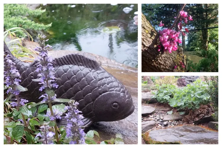 „Mica Japonie” a Ardealului, o nouă bijuterie turistică, își deschide porțile! E oază de liniște și relaxare, la mai puțin de două ore distanță de Cluj