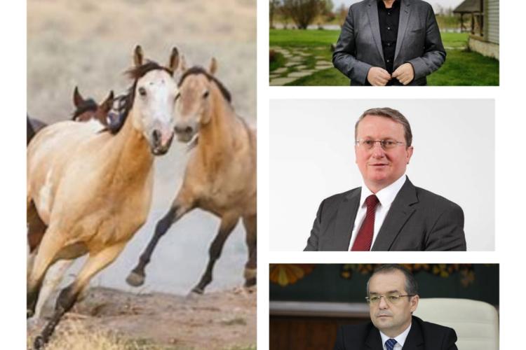 Replici savuroase între Boc și PSD! Boc: ”Nu schimbi calul când urci dealul”/PSD: ”Trebuie să schimbăm mai mulți cai, că sunt mârțoage!