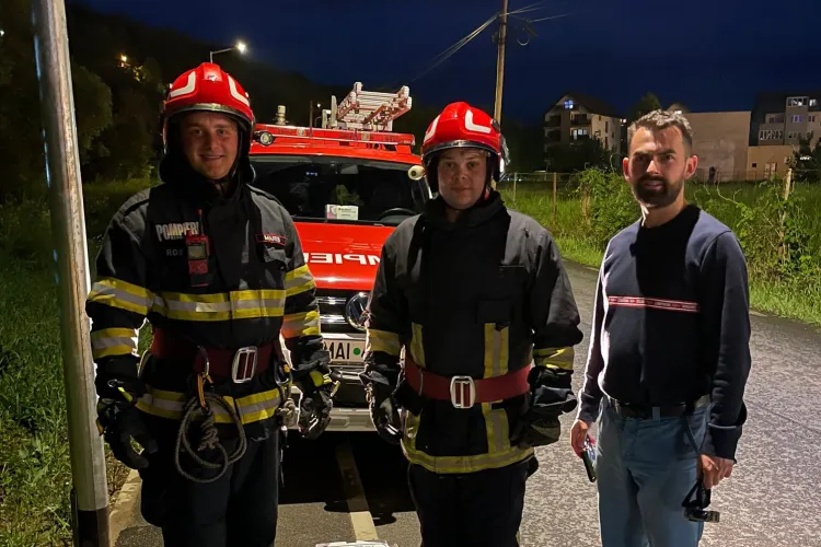 Pui de vulpe salvat de pe o stradă din Cluj - VIDEO