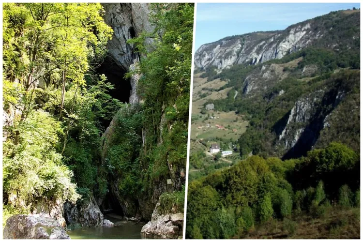 Secretele Munților Apuseni! Rezervații naturale de o frumusețe aparte, priveliști absolut fermecătoare și viețuitoare de toate felurile - FOTO