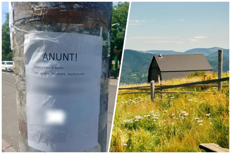 Anunț inedit pe o stradă din Cluj-Napoca! Un clujean oferă găzduire gratuită, cu mese incluse, într-o casă la munte. Are o singură condiție - FOTO