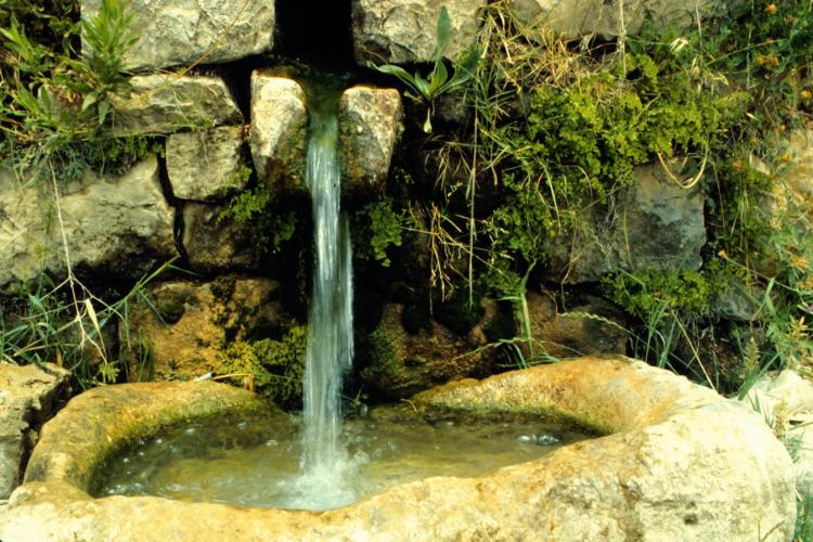 Izvorul cu „apă vie” din Munții Apuseni. Legenda spune că toţi cei care beau din apa lui cresc în înălțime/E și o oază de liniște și relaxare 