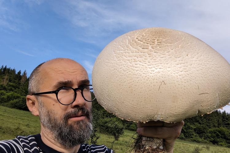 Ciupercă uriașă descoperită de un clujean/ ”O fi ceva record mondial. Personal, cu siguranță!”- FOTO