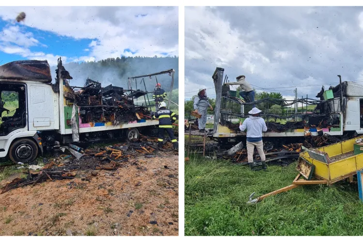 Un camion încărcat cu un stup de albine a luat foc, într-un sat din Cluj. Au intervenit pompierii - FOTO