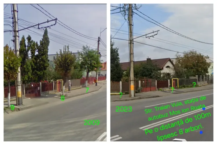 Dacă e verde înseamnă că trebuie tăiat! Autoritățile clujene au tăiat copacii care ofereau umbră călătorilor într-o stație din Cluj