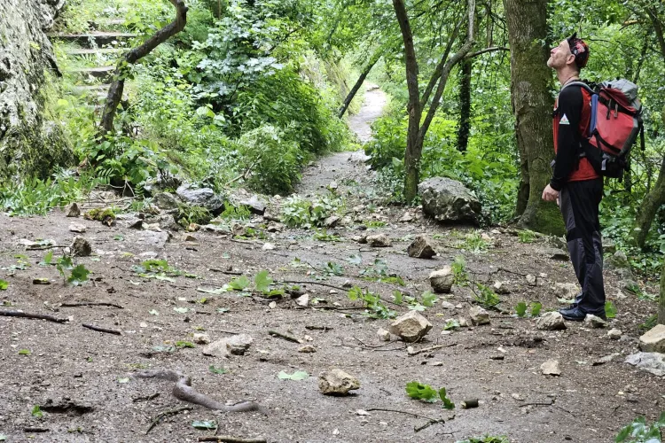 Bolovani și crengi pe o porțiune din Defileul Cheile Turzii: Traseul va fi închis mâine pentru mai multe ore!