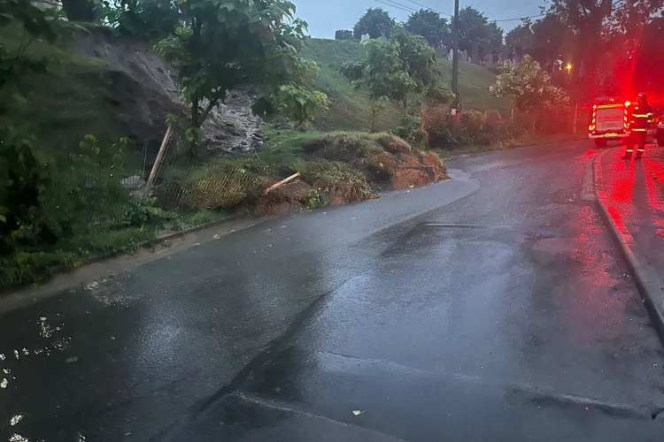 Opt mașini au fost avariate în această seară în Cluj-Napoca, din cauza a nouă copaci doborâți de vânt/ Au fost 160 de solicitări la 112-FOTO