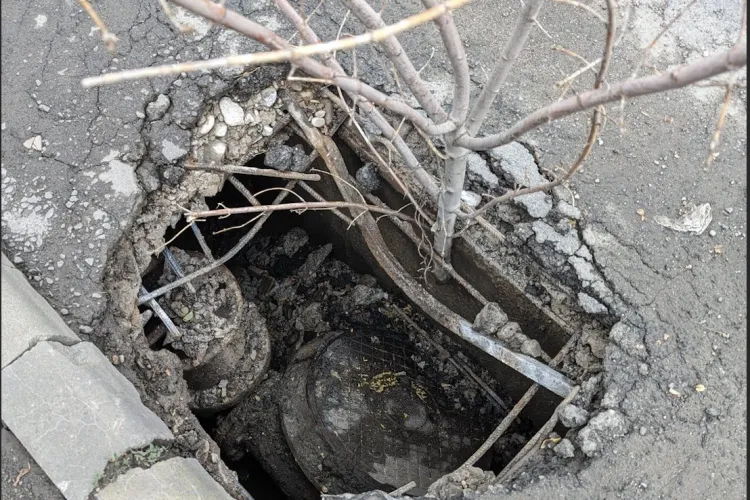 Cămin de vizitare căzut, cu tot cu asfalt, pe o stradă din Cluj și semnalizat cu… o creangă de copac! - FOTO 