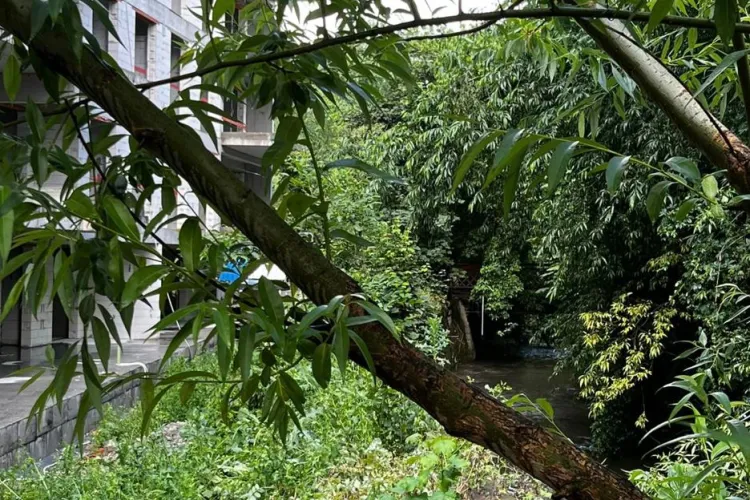 Emil Boc, ironizat pentru autorizarea unui bloc chiar lângă Canalul Morii : ”Face parte din proiectul Orașul Verde, pentru oameni, nu profit” FOTO