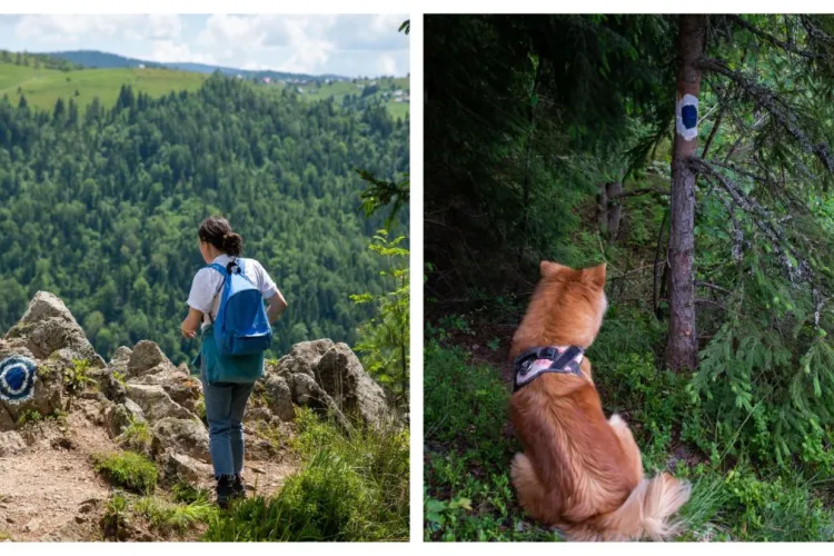 Cluj: Nou traseu turistic spectaculos în comuna Mărișel, la Țâcla Gavrii: Va avea aproximativ 4km, zone împâdurite, sălbatice și punct de belvedere