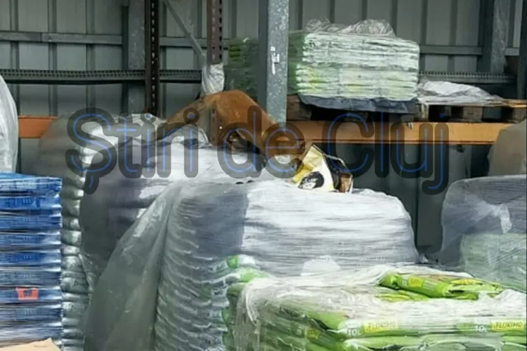 Patru vulpi surprinse în depozitul unui hipermarket din Cluj-Napoca, în timp ce umblă printre mărfuri: ”Ia cineva măsuri?”- FOTO EXCLUSIV