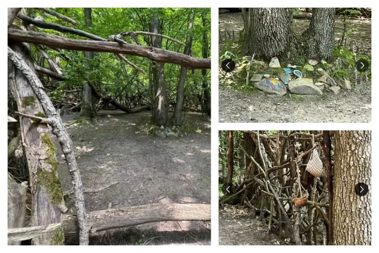 FOTO. Temple pentru ritualuri păgâne în pădurea Făget din Cluj: „Prima dată am crezut că e zonă de hrănit căprioarele din pădure, dar nu pare”