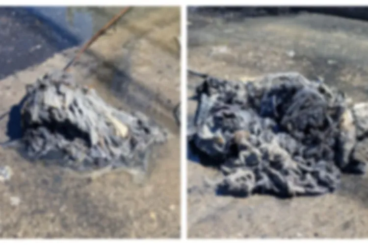 Ce au găsit cei de la Compania de Apă într-un canal din Florești. Clujenii “exemplari” au uitat că toaleta nu este un coș de gunoi - FOTO