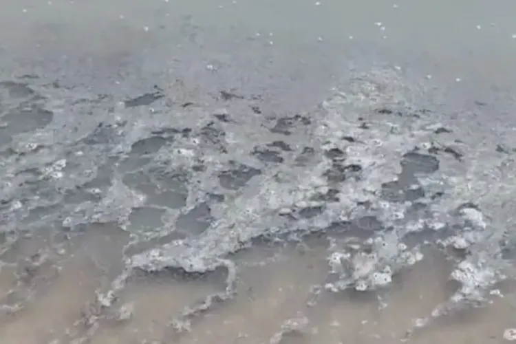 E alertă pe litoralul românesc! Pescarii și turiștii au sesizat pete suspecte în Marea Neagră